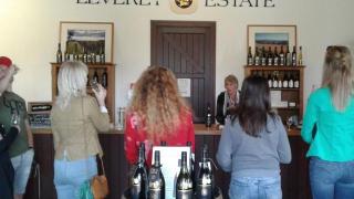 Wine Tours